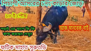 সুরুতডি ফটিক মাহাত এর কাড়া পৌছে গেছে পিচাশী আসরের ১নং কাড়ার জোড়