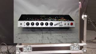 Fender Twin Reverb vs. AZG Custom Dinelli-Jr