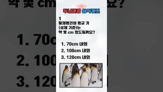 [상식퀴즈 10] 황제 펭귄의 키는? 일반상식 퀴즈, 상식 키우기, 지식 퀴즈, 기본 상식 퀴즈