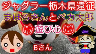 まほろさんとペカ太郎！ジャグラー栃木県遠征！遊び心【スロパチ海賊ペカ太郎】2月15日