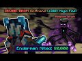 Why I Killed Over 80,000 Endermen in Minecraft | Hypixel Skyblock