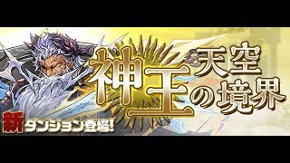 【パズドラ】神王の天空境界 4階