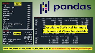 Descriptive Statistical Summary Using Pandas in Python | Describe for Numeric & Character variables