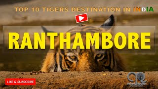 Ranthambore National Park | Jungle Safari | Tigers of India. @SonyAlphaUniverse #wildlife