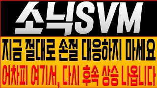 [소닉SVM 코인전망] 지금 절대로 손절 대응하지 마세요! 어차피 여기서, 다시 후속 상승 나옵니다!! #소닉SVM목표가 #소닉코인 #소닉SVM코인 #sonic