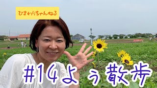 #14よぅ散歩【向日葵畑に癒されて】