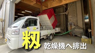 籾を乾燥機へ移す様子