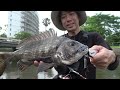 この直後…‼絶対絶命ルアーvsやる気満々の魚【衝撃の捕食シーン】