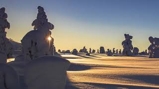 Suomi 100 - tribute to Finland - 100 years of independence