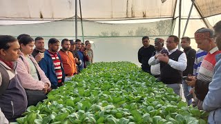 Vegetables production by Hydroponic techniques at Vegetable Science Centre Pantnagar University