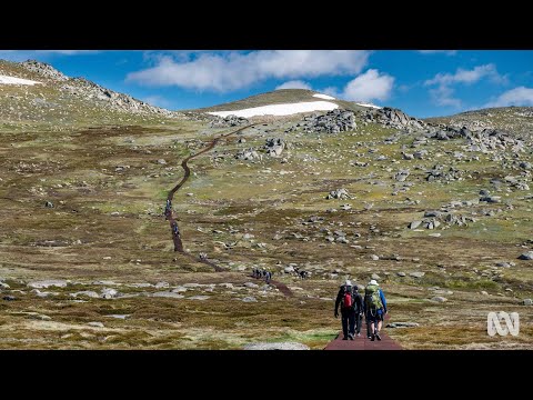 Is Mount Kosciuszko a fold mountain?