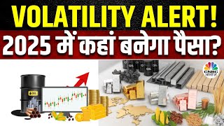 Commodity Market Volatility BIG Prediction | 2024 में कौन से कमोडिटी ने दिखाया कमाल? | Gold | Silver