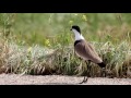 hula lake israel