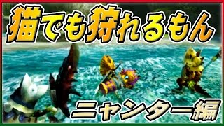 【MHXX】新米ハンターの極限狩猟【モンハンダブルクロス実況】#33