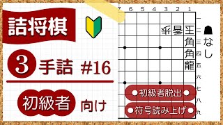 【観て解く、聴いて解く、分かって納得、詰将棋】【３手詰】初級編 #26 『大駒三兄弟』