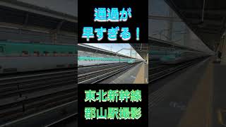 【東北新幹線】郡山駅の通過が早すぎる！（ #鉄道 #shorts ）