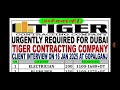 tiger group contracting company dubai टाइगर ग्रुप कंपनी कैसी है दुबई gopalganj tigergroupdubai