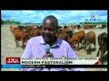 Kajiado livestock farmers embrace hay growing