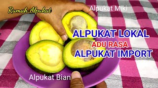 ADU RASA ALPUKAT LOKAL \u0026 ALPUKAT IMPORT