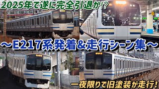 【ダイヤ改正で運行予定無し⁉︎】一夜限りで走った旧塗装も！横須賀・総武快速線を中心に走った平成の名車、E217系発着\u0026走行シーン集/E217series.departure scene.