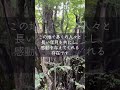 【秋田県】一三の旅－いさのたび－蛇喰千本カツラ shorts