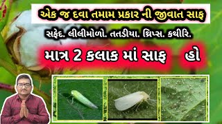 માત્ર 2 કલાક માં સાફ  કપાસ માં તો ખાસ l એક દવા તમામ પ્રકાર ની જીવાત સાફ  l 8469108821l 9428637911