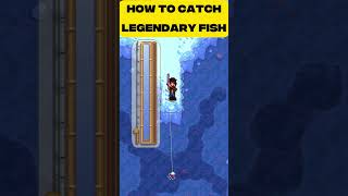 Legendary Fish in Stardew Valley #stardewvalley #fyp #gaming