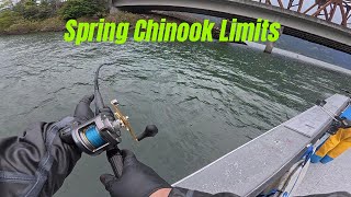 Drano Lake Spring Chinook Limits!