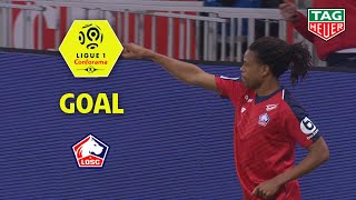 Goal Loïc REMY (51') / LOSC - Nîmes Olympique (5-0) (LOSC-NIMES) / 2018-19