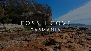 Fossil Cove Tasmania FPV - 4K60