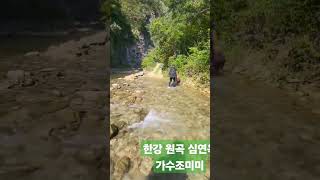 가수조미미🎵한강#구독#좋아요 #감사합니다 👍