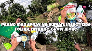 PAANO MAG SPRAY NG DURIAN PUYAT VARIETY.