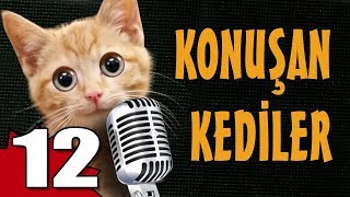 Konuşan Kediler 12 - En Komik Kedi Videoları