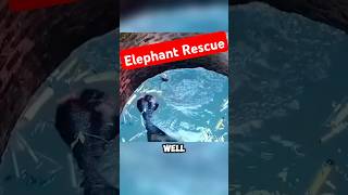 Villagers Save Elephant Calf Trapped in Well 🐘 #rescue #elephant