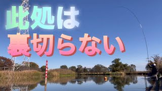 《へらぶな釣り to 大堀川》何時もより長い竿振って引きを楽しめたぁ😆