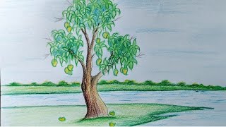 How to draw summer season scenery with colour pencil//mango tree scenery drawing