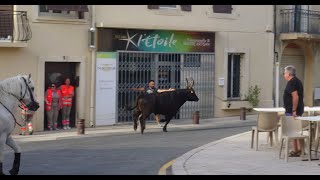 AIGUES VIVES 02-03.07.2021 BANDIDO TORO PISCINE LONGUE