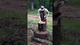 Splitting Rotten Red Oak 🪵 🪓 🔥 #firewood #wood #burningwood #hardwork #shorts