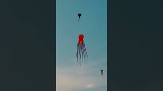 Octopus balloon in the sky