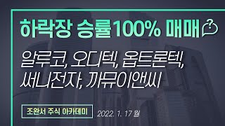 주식 하락장 승률100% 매매일지 (알루코,써니전자,까뮤이앤씨,옵트론텍,오디텍)