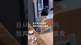 每天蛋清吃的我不开心 狗与小主人 不养狗不知道养狗的乐趣 狗子带娃 狗和孩子一起长大