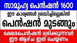 സാമൂഹ്യ പെൻഷൻ 1600 |  ഈ കാര്യങ്ങൾ ശ്രദ്ധിച്ചില്ലെങ്കിൽ പെൻഷൻ ലഭിക്കില്ല | KERALA PENSION Latest News