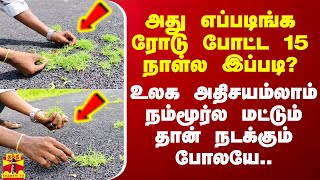 அது எப்படிங்க ரோடு போட்ட 15 நாள்ல இப்படி? - உலக அதிசயம்லாம் நம்மூர்ல மட்டும் தான் நடக்கும் போலயே..