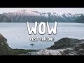 Post Malone - Wow. (Lyrics)