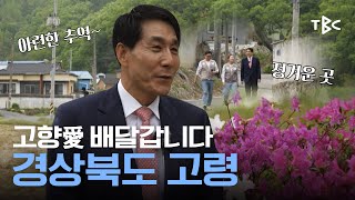 고향愛 배달갑니다ㅣ경상북도 고령 [생방송굿데이]