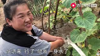 农村源子：菜园子里摘一桶黄瓜，用这个方法拌个吃，清脆爽口超好吃