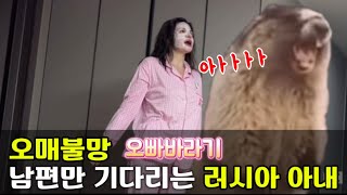 국결이 답이다. 러시아 외국인 아내를 만나 행복 지려버린 한국남자 [오매불망의 정석]