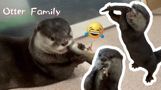 豪快‼️でも可愛い❗️カワウソ家族のお食事タイム 〜お魚くわえたカワウソ〜 Otter family eating fish with gusto and cuteness!