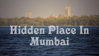 Hidden Place in Mumbai| Aarey Colony| Travel Video