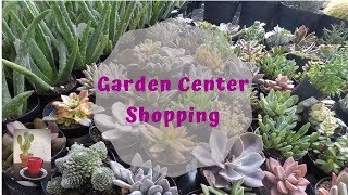 Cactus and Garden supplies shopping (New plant purchases)